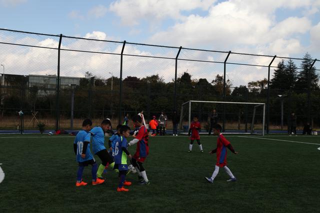 弱旅逆袭成常态？世欧预连爆8倍+7倍+5倍大冷